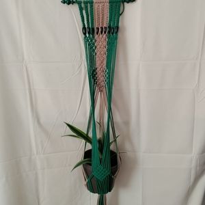 Wall plant hangars for smaller miniature plants